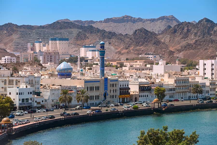 Muscat: Half-Day Sightseeing Essentials Tour and Audio Guide - The fish market is brief and atmospheric