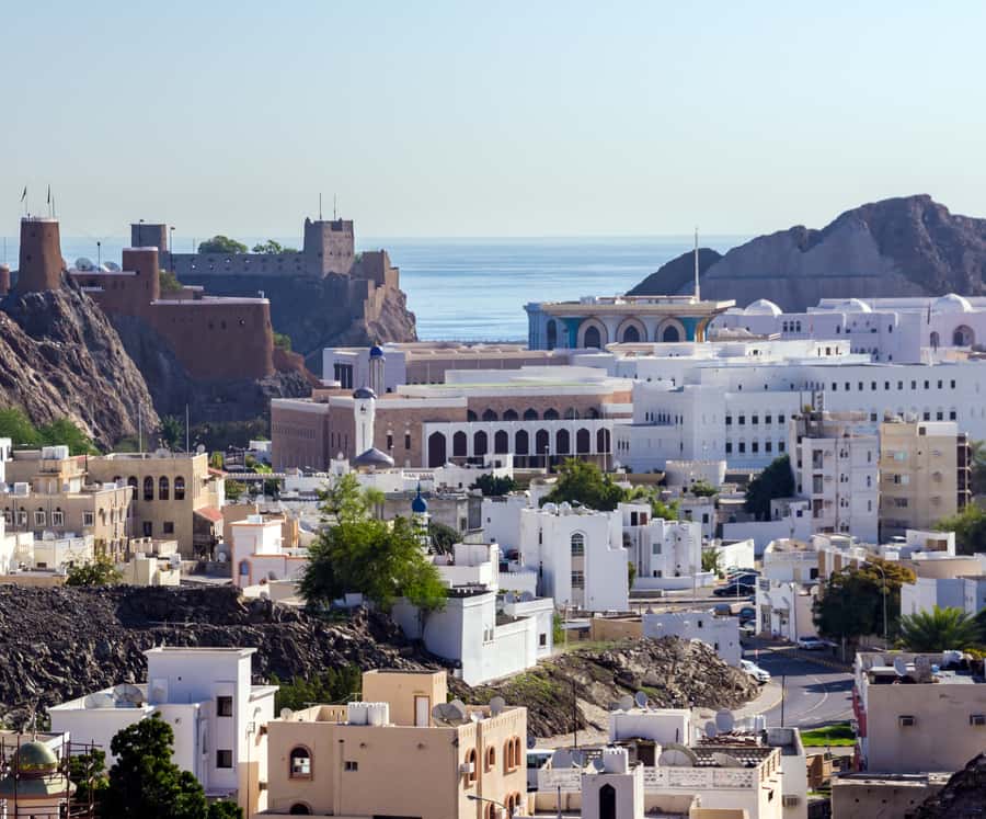 Muscat highlights : Private Muscat City Tour.. - What the $197 group price really gives you