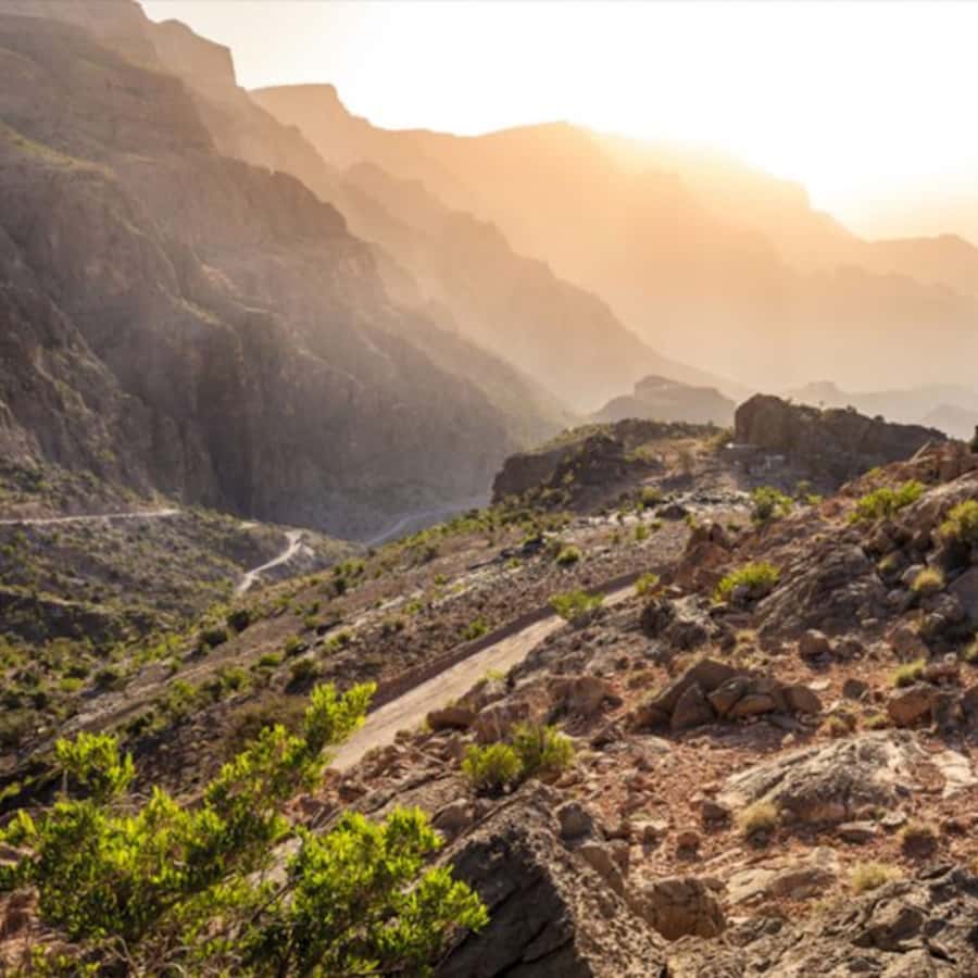 Muscat: Nizwa and Jabal Shams- Full Day Tour - Nizwa Fort and the view from its tower