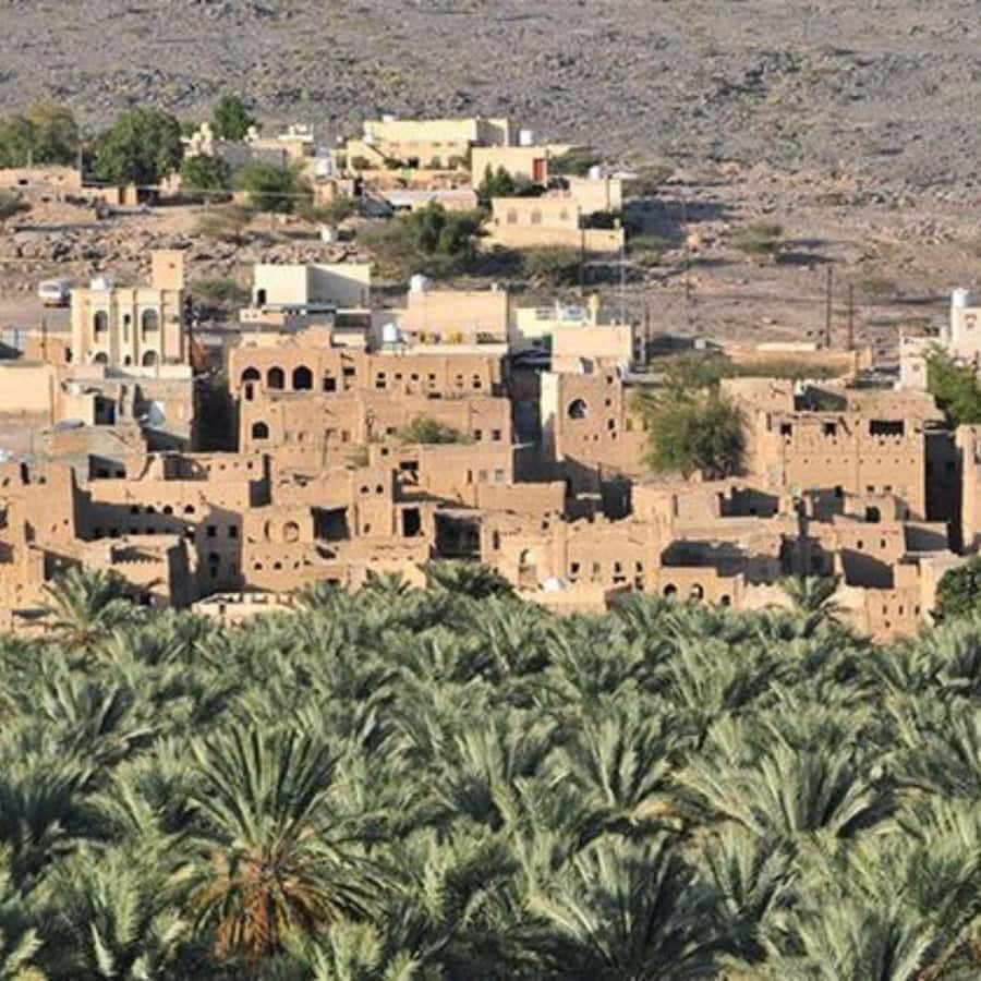 Muscat: Nizwa and Jabal Shams- Full Day Tour - Four hours of driving, used well
