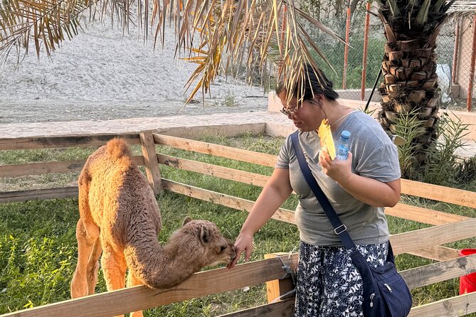 Muscat: Nizwa Market & Fort, Jabel Akhdar Full-Day Tour + Lunch - Who should book this experience?