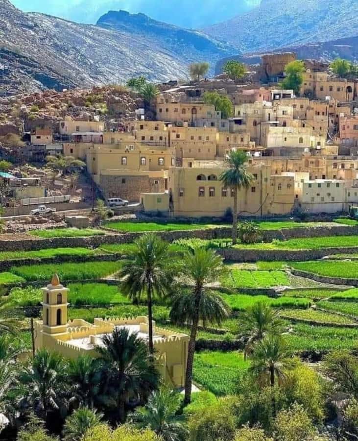 Muscat Oman Grand Canyon, Jebel Shams & Nizwa - Comfort, guide quality, and practical planning