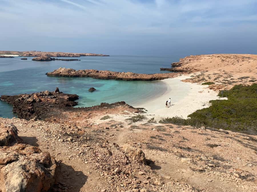 Muscat Oman: Snorkeling adventure to Daymaniyat Island - Key points at a glance