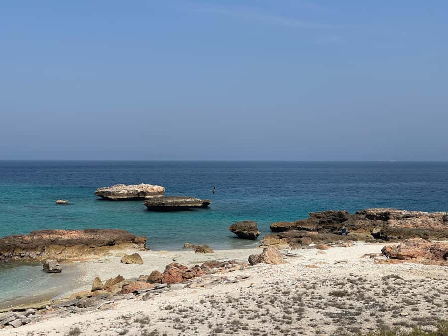 Muscat Oman: Snorkeling adventure to Daymaniyat Island - Two snorkeling stops, with honest expectations about the reef