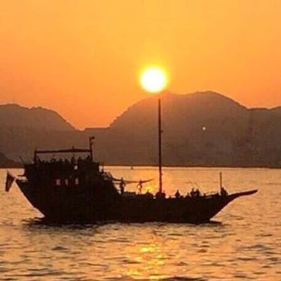 Muscat: Omani Traditional Dhow Sunset Cruise - Is $70 a fair price?