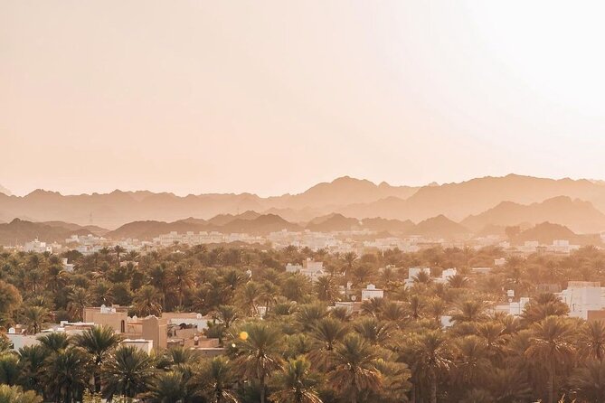 Muscat Shore Excursion: Private Nizwa Day Trip - The private guide and cruise timing