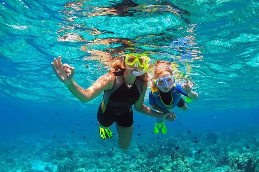 Muscat: Snorkeling and Dolphin Watching Tour - Key points to know before booking