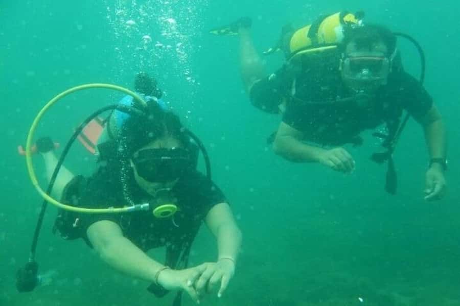 Muscat: Snorkeling and Dolphin Watching Tour - What the included equipment means