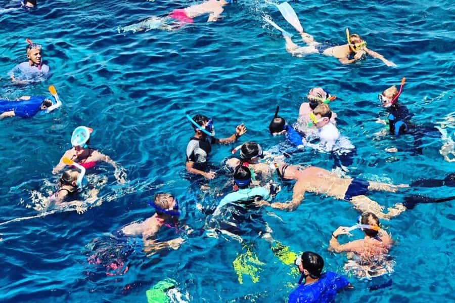 Muscat: Snorkeling and Dolphin Watching Tour - Guide communication and the pace of the outing