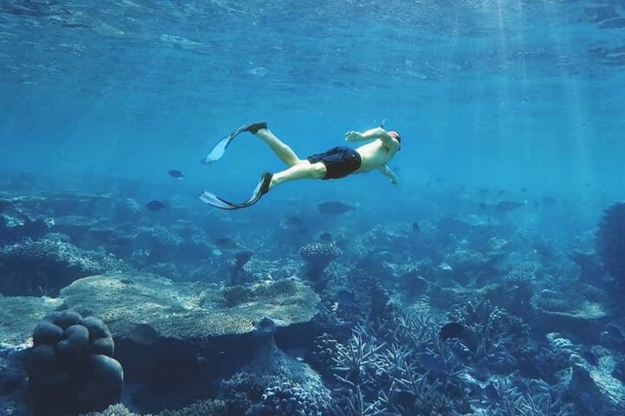 Muscat: Snorkeling and Dolphin Watching Tour - Who will enjoy this tour most?