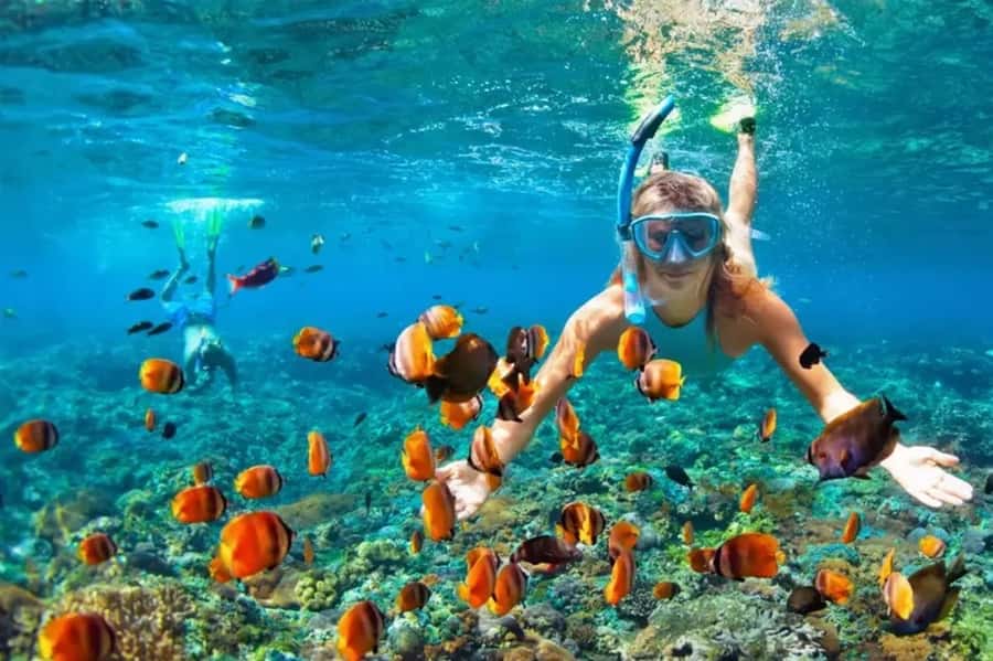 Muscat: Snorkeling and Dolphin Watching Tour - The boat cruise: Muscat from the sea