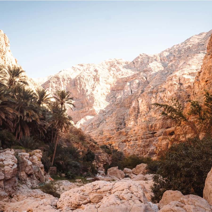 Muscat: Southern Treasures & Wadi Shab Tour with Audio Guide - Who will enjoy this tour most