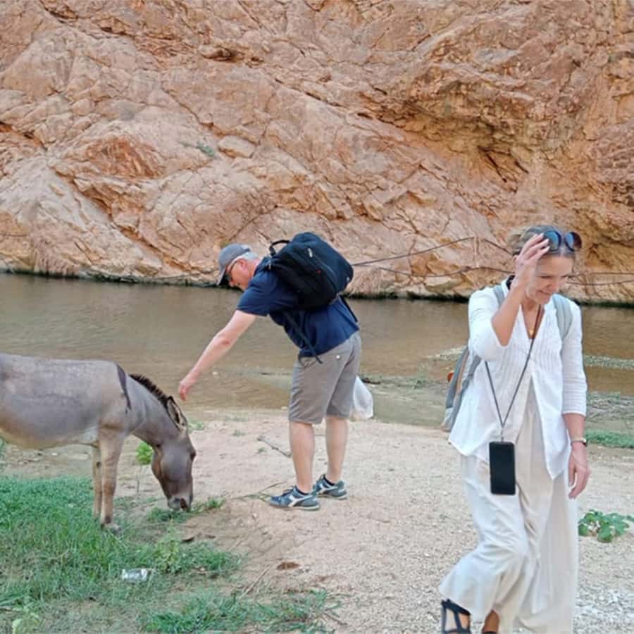 Muscat: Southern Treasures & Wadi Shab Tour with Audio Guide - Packing advice that will save your day