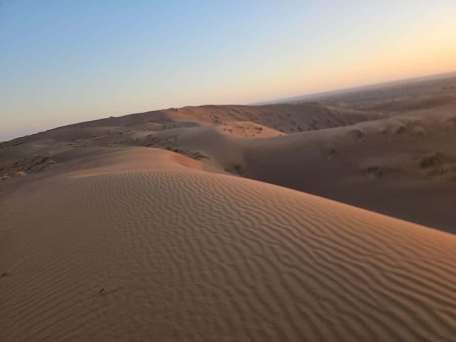Muscat: Wadi Bani Khalid & Wahiba Sands Full-Day Tour - Why this Muscat day trip works