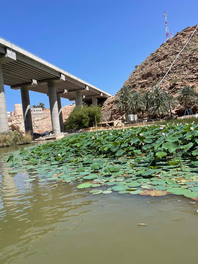 Muscat: Wadi Shab, Romantic Cave and Sinkhole Full-day Trip - Bimmah Sinkhole: a calm finish with another swim