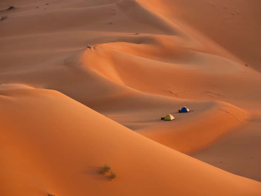 Muscat: Wahiba Sands Desert Sunset Tour with Dinner - The long road from Muscat to Wahiba Sands