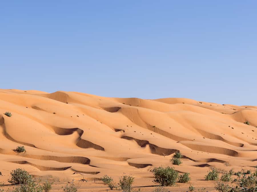 Muscat: Wahiba Sands Desert Sunset Tour with Dinner - The main strengths and weak spots