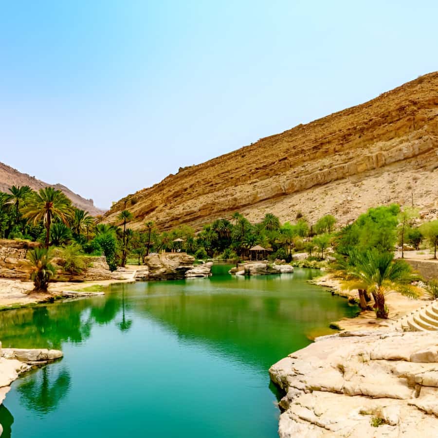 Muscat: Wahiba Sands Desert & Wadi Bani Khalid Full Day Tour - Five details that shape the experience