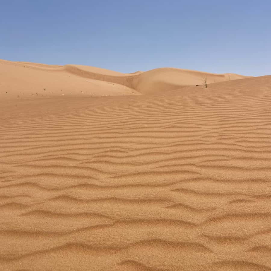 Muscat: Wahiba Sands Desert & Wadi Bani Khalid Full Day Tour - The long road from Muscat to Oman’s interior