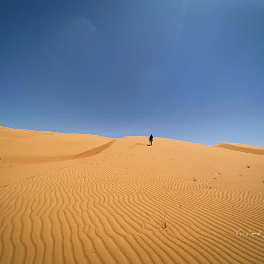Muscat: Wahiba Sands Desert & Wadi Bani Khalid Full Day Tour - Two hours among the Wahiba Sands