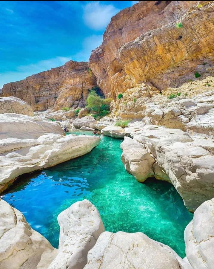 Muscat: Wahiba Sands & Wadi Bani Khalid Full-Day Tour+Lunch - Wahiba Sands: dunes, camels, and a 4x4 thrill