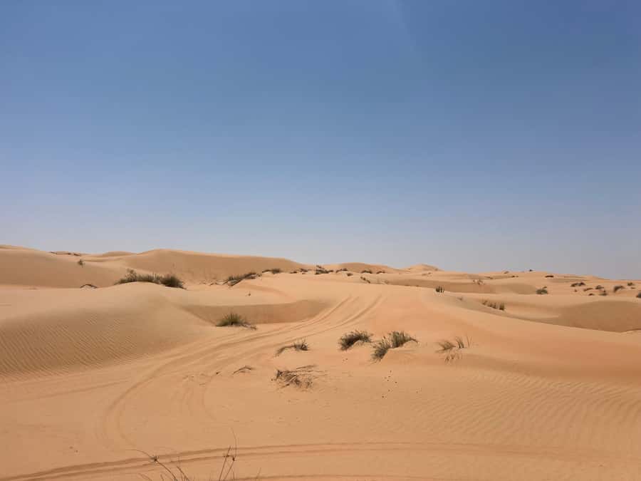Muscat: Wahiba Sands, Wadi Bani Khalid & Mudayrib Tour - Wahiba Sands and the thrill of dune driving