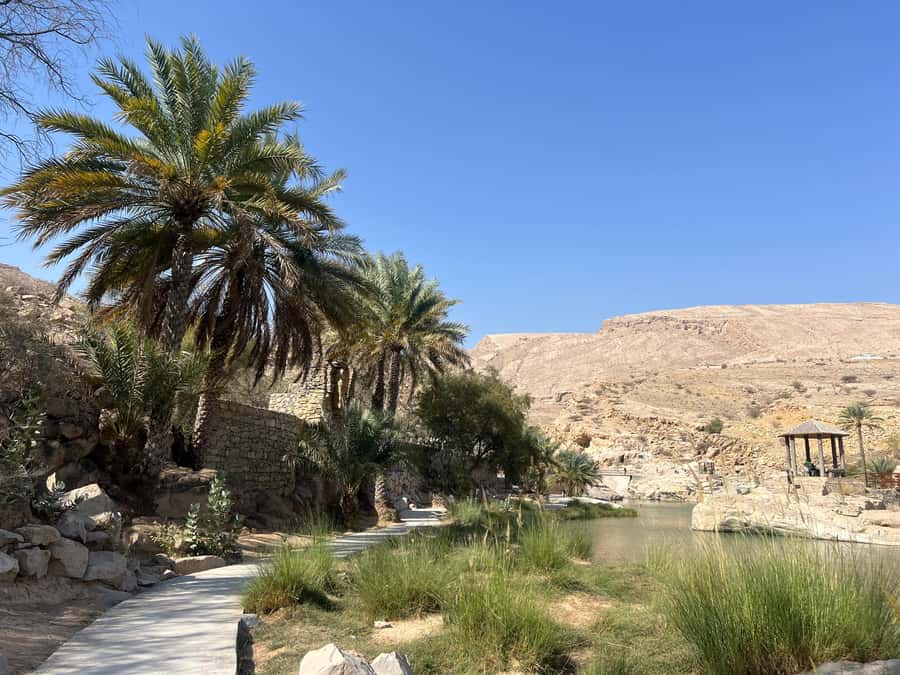 Muscat: Wahiba Sands, Wadi Bani Khalid & Mudayrib Tour - Tea, snacks, and the ride back