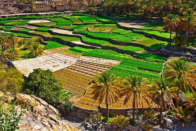 Nakhal Fort-Nakhal Hotspring-Wadi Bani Awf-Bilad Sayt - Private Full Day Tour - What the private 4WD format adds