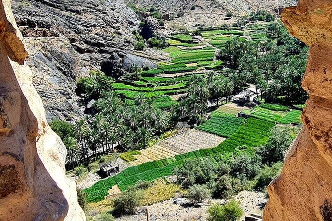 Nakhal Fort-Nakhal Hotspring-Wadi Bani Awf-Bilad Sayt - Private Full Day Tour - Timing, weather, and cancellation details