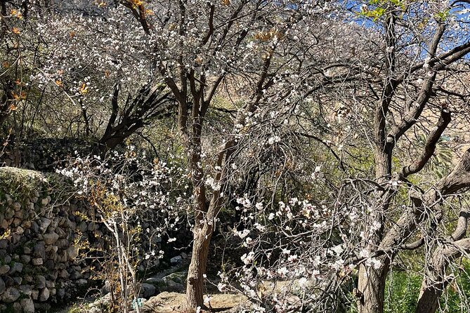 Nakhal Hotspring and Wakan Village Private Full Day Tour - From Muscat to the Sultan Qaboos Grand Mosque