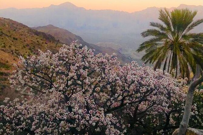 Nakhal Hotspring and Wakan Village Private Full Day Tour - Is $173.60 per person fair?