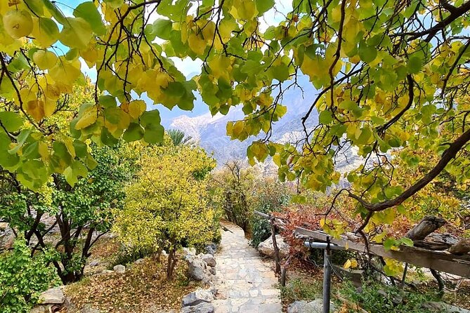 Nakhal Hotspring and Wakan Village Private Full Day Tour - Who will enjoy this day most?
