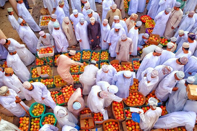 Nizwa- Al Hamra Old Village- Misfah Al Abryeen Full Day Tour - Why this private Muscat day trip works