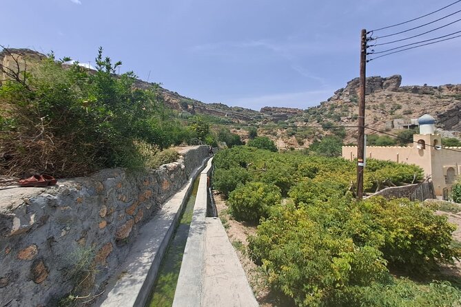 Nizwa and Jebel Akhdar - Souq Nizwa, where the town feels most local