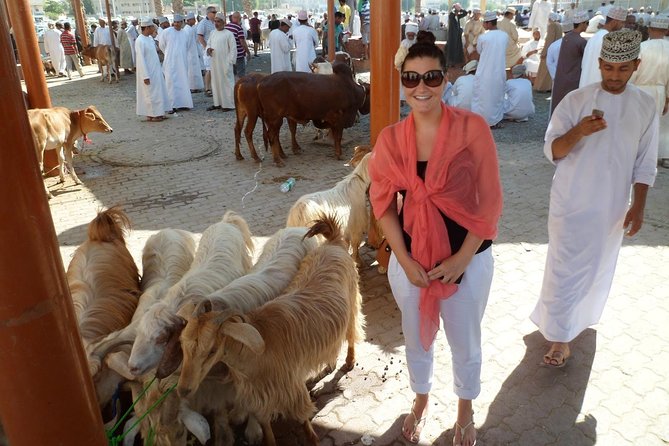 Nizwa Bahla & Jabrin Fort(Muscat tours) as private and custom trip - Is $200 per person good value?
