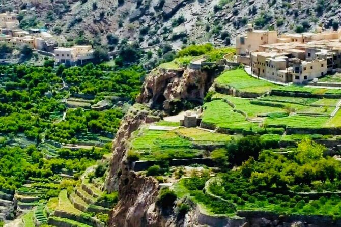 Nizwa Fort-Nizwa Souq-Birkat Al Mouz-Jebel Akhdar - Private Full Day Tour - Nizwa Fort and the view over the old capital