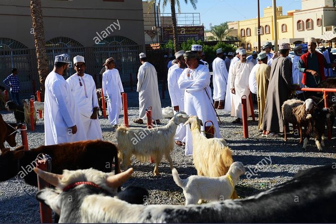 Nizwa Friday Market Jabal Chams - Nizwa Souq brings more than livestock