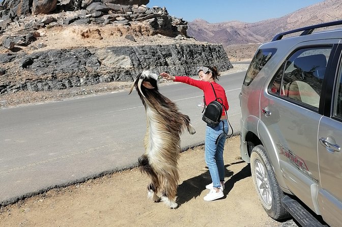 Nizwa. Hambra. Grand Canyon Oman - Why this Muscat day trip works