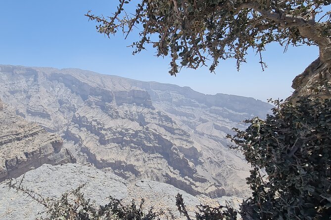 Nizwa Heritage & Jebel Shams Canyon – Private Tour from Muscat - Misfat Al Abryeen and its falaj water system