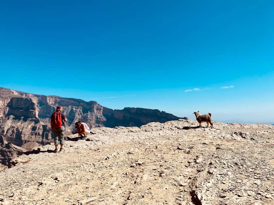 Nizwa: Jebel Shams Balcony Walk and Via Ferrata Adventure - Lunch after the mountain activity