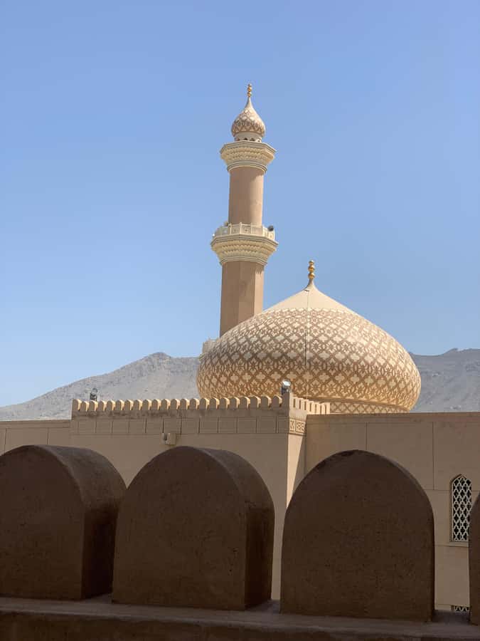 Nizwa: Nizwa Fort and Birkat Al Mouz Guided Tour - Key points to know before booking