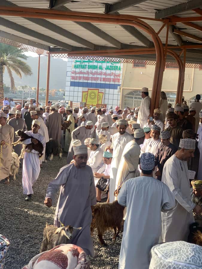 Nizwa: Nizwa Fort and Birkat Al Mouz Guided Tour - Meals, drinks, and the practical cost of the day