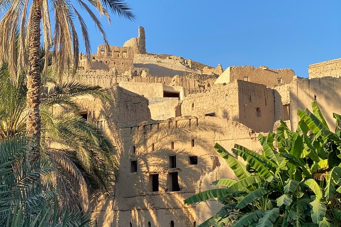 Old Nizwa and Akhdar Mountain with a local guide (private). - Birkat Al Mouz and its working water canal