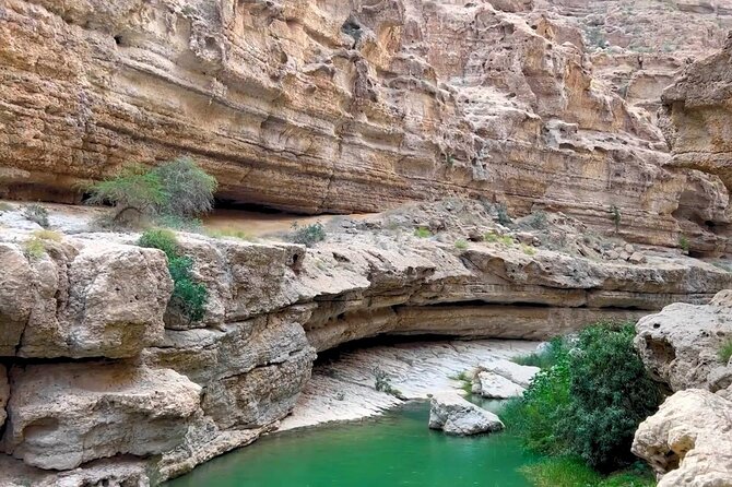 Oman 3-Days 2-Night Shared Roundtrip Tour – Explore Oman's Best - Day 3: Sunrise, Nizwa Fort, and the old village at Birkat Al Mouz