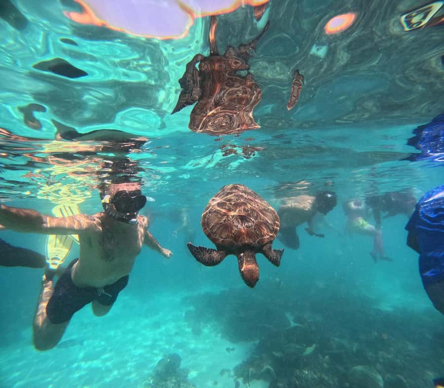 Oman: Daymaniyat Island Snorkeling Trip with Equipment - Leaving Al Mouj Marina at 8:30 AM