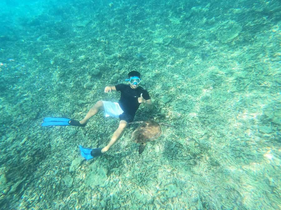 Oman: Daymaniyat Island Snorkeling Trip with Equipment - Coral, fish, and responsible wildlife viewing