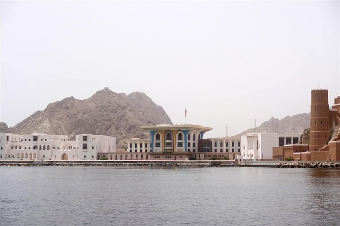 Oman Dolphin Watching Tours - Searching the Waters Around Muscat