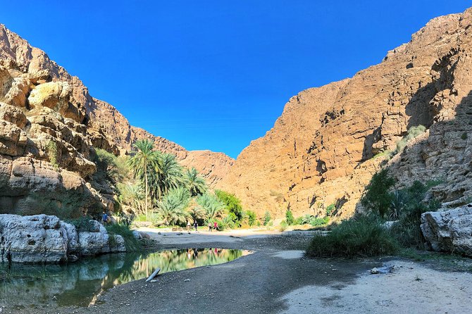 Oman Explorer: City, Wadis, and Desert 5-Day Adventure - Mutrah connects the coast with daily life