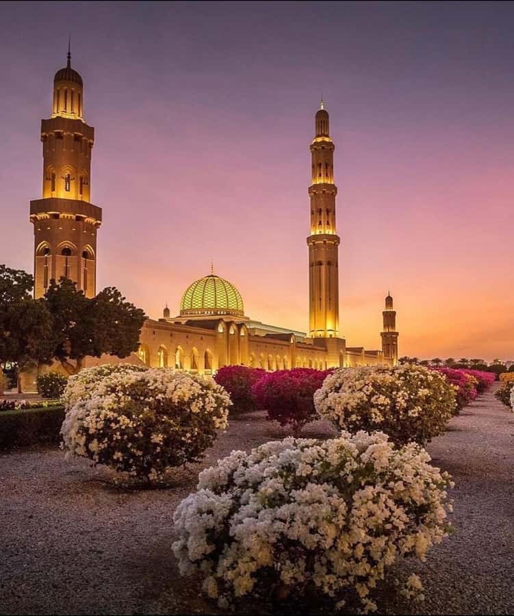 Oman:Group Muscat City Tour With Pick Up & Free Lunch/Dinner - Key things to know before booking