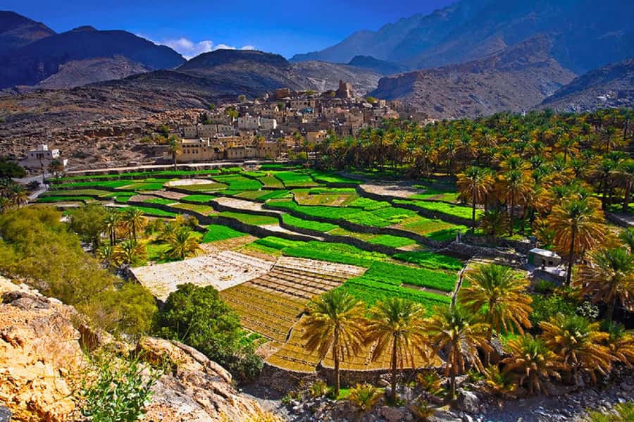 Oman: Muscat to Bilad Sayt 4WD Day Trip - Key points at a glance